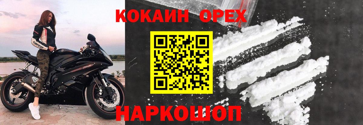 Ижевск  Cocaine Fish Scale  Вход с VPN 