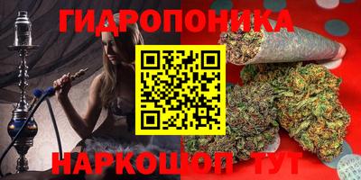бошки Краснознаменск