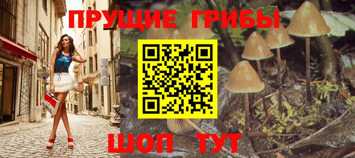наркошоп  Вход с VPN  Ижевск  Галлюциногенные грибы мицелий 
